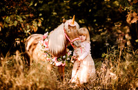 CharLu Farm Mini Sessions